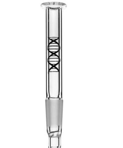 dna2