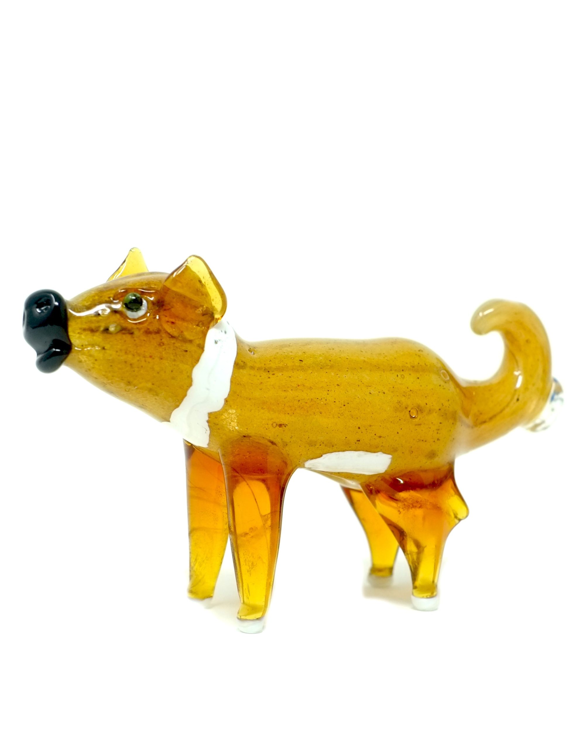 dog1