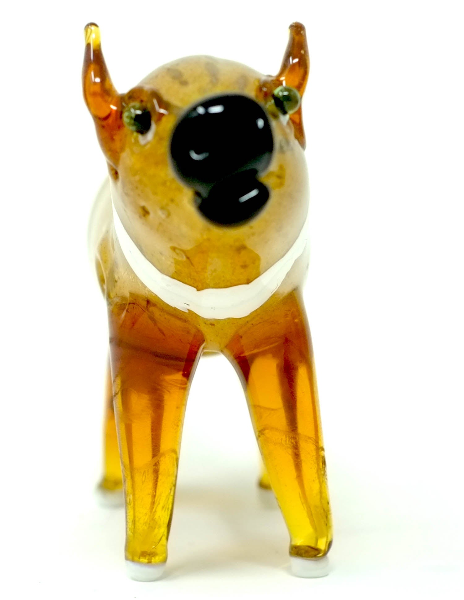 dog2